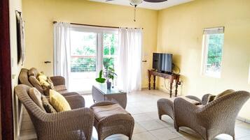 TV, DVD-spiller og filmbibliotek