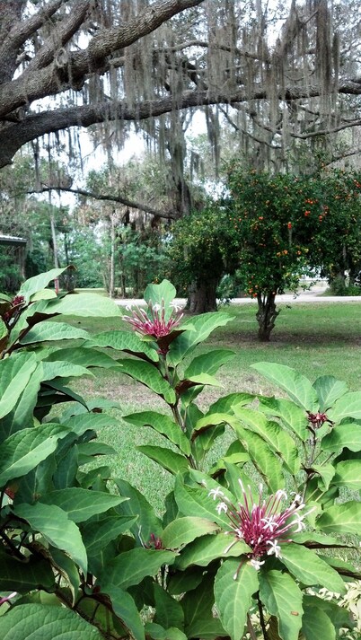 Private Cottage Getaway. Close to the River & downtown River District.