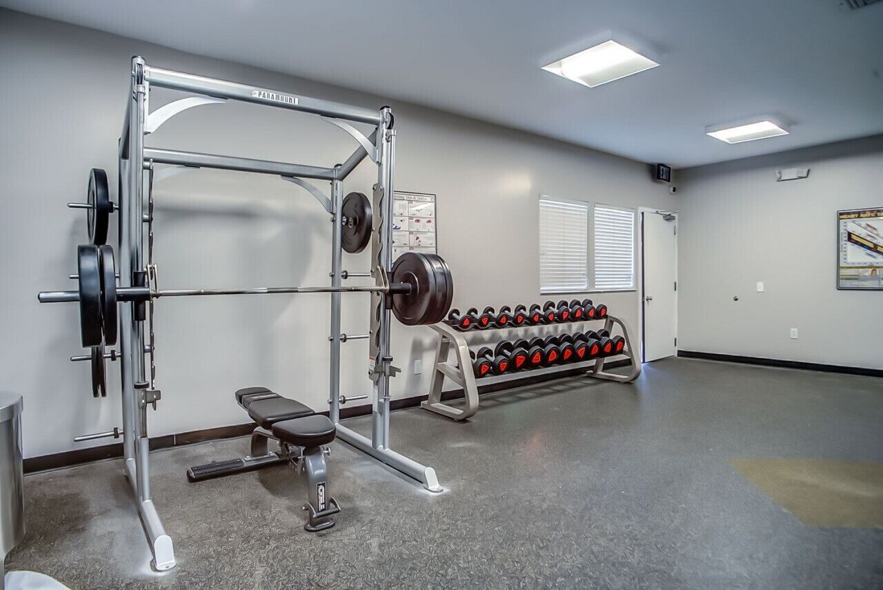 Un gimnasio con una estructura para sentadillas, banco y mancuernas.