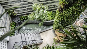 A rooftop garden with a water feature, seating area, and a variety of plants. - Babylon Garden Condotel (Da Nang)