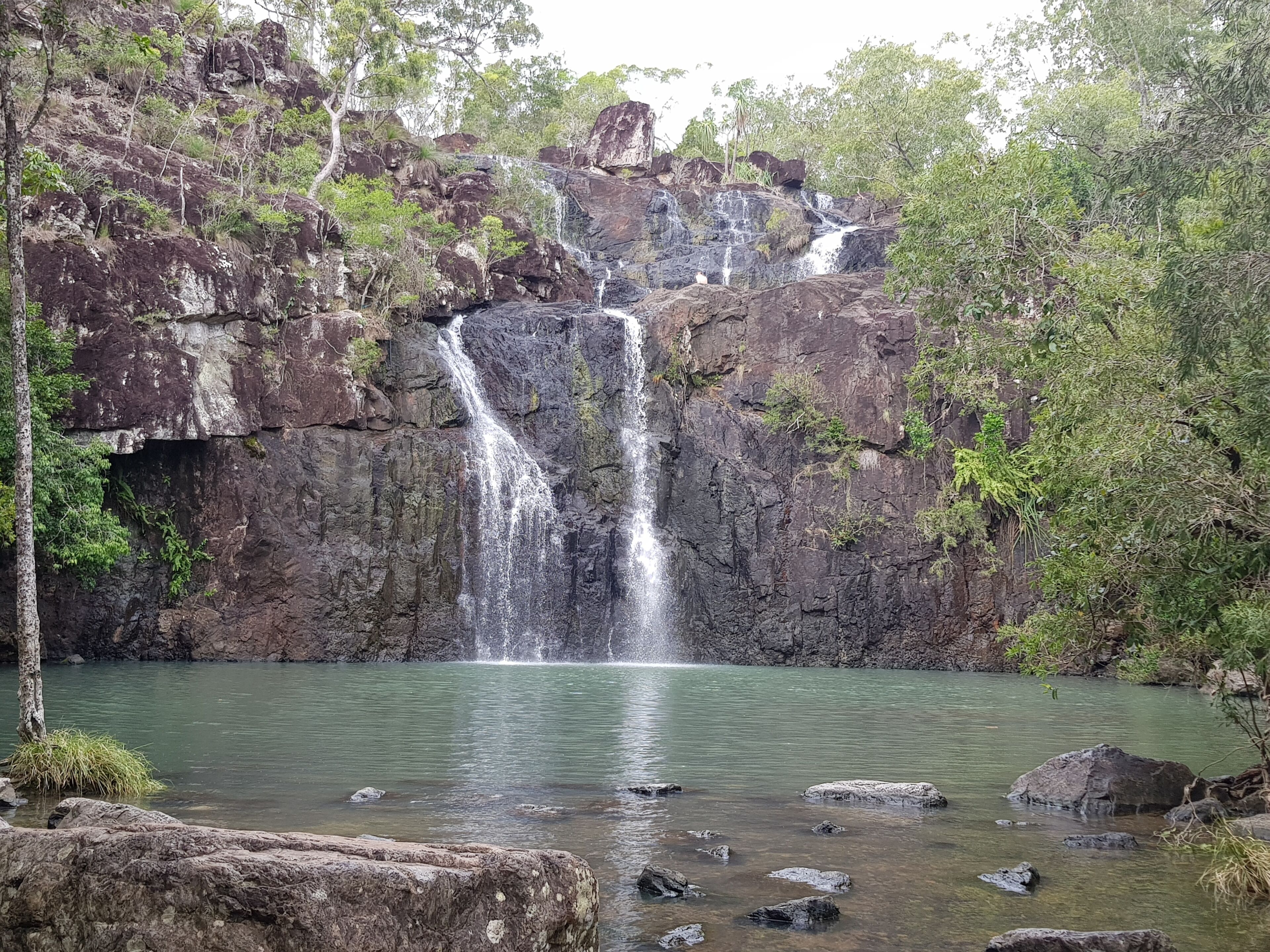 A waterfall cascading into a clear pool surrounded by rocky terrain and dense greenery.