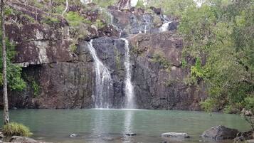 A waterfall cascading into a clear pool surrounded by rocky terrain and dense greenery.