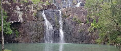 Una cascada que se precipita en una poza cristalina rodeada de terreno rocoso y abundante vegetación.