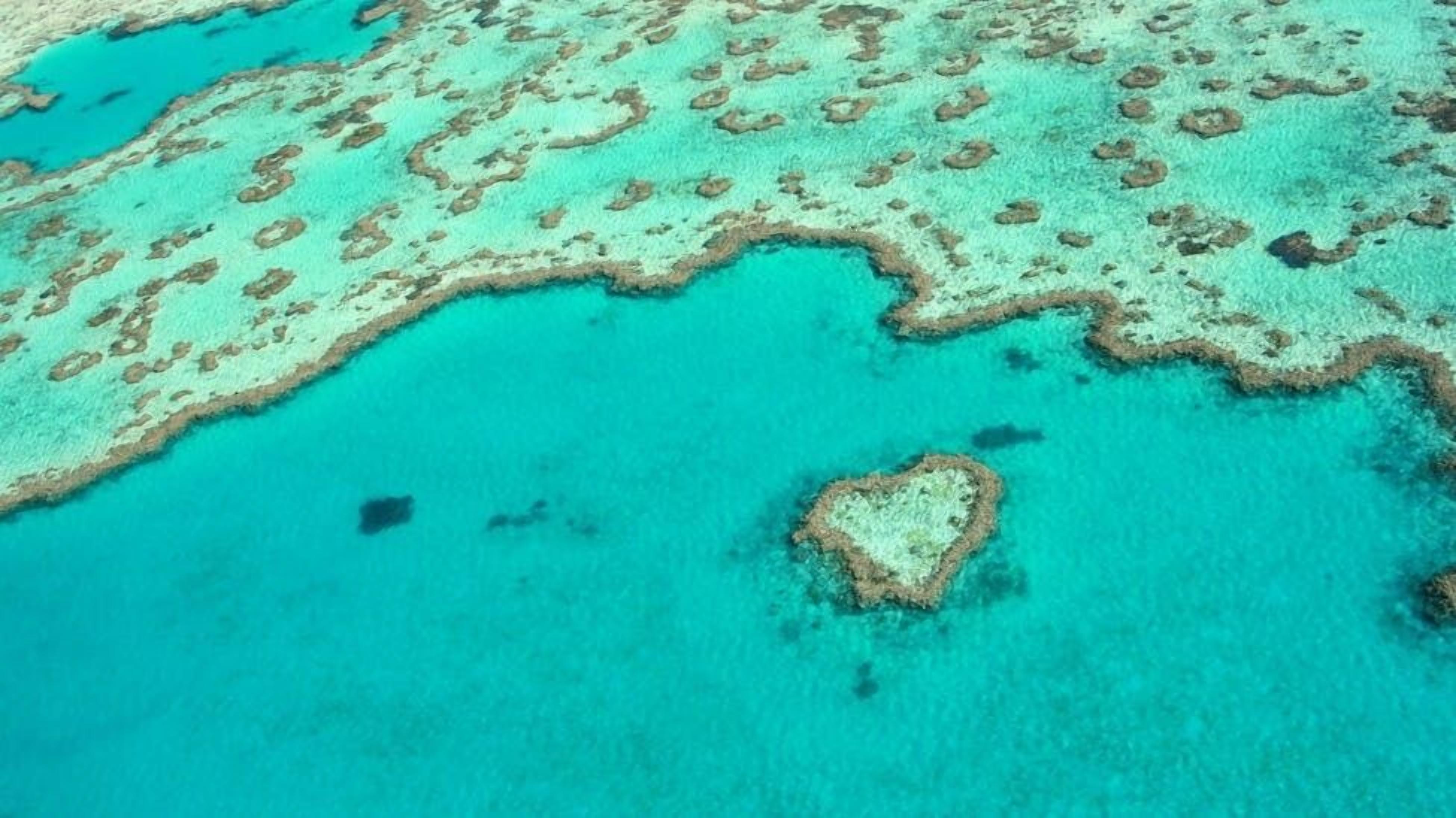 Vue aérienne d’un récif corallien aux eaux turquoise et limpides, avec une formation corallienne en forme de cœur.