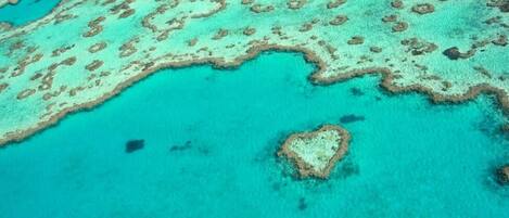 Vue aérienne d’un récif corallien aux eaux turquoise et limpides, avec une formation corallienne en forme de cœur.