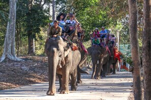 Ziplining - Soutchai Resort (Vientiane)