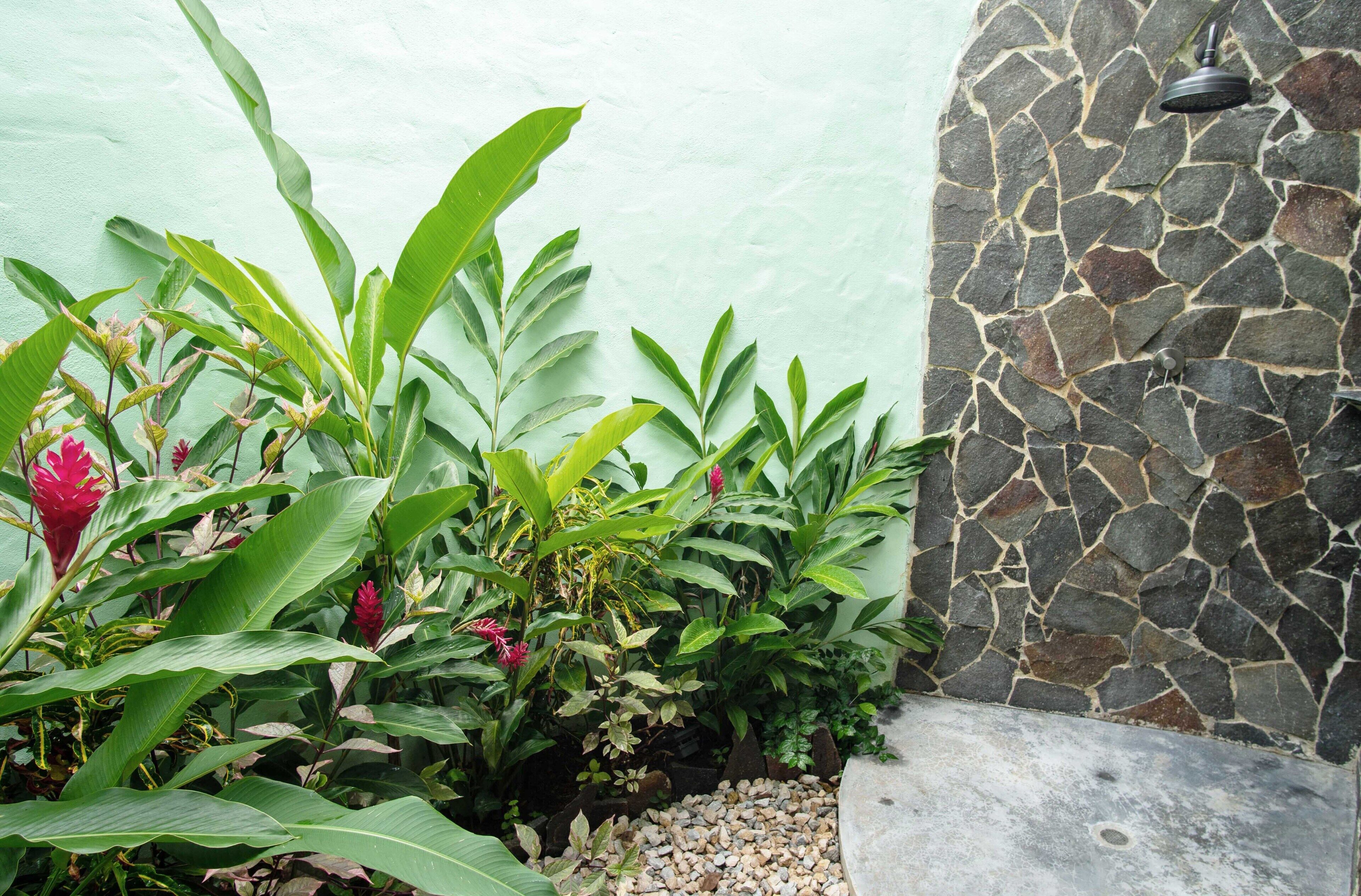 deluxe studio suite, multiple beds, partial ocean view | bathroom shower