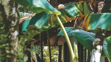 A tropical garden with hammocks and a wooden deck.