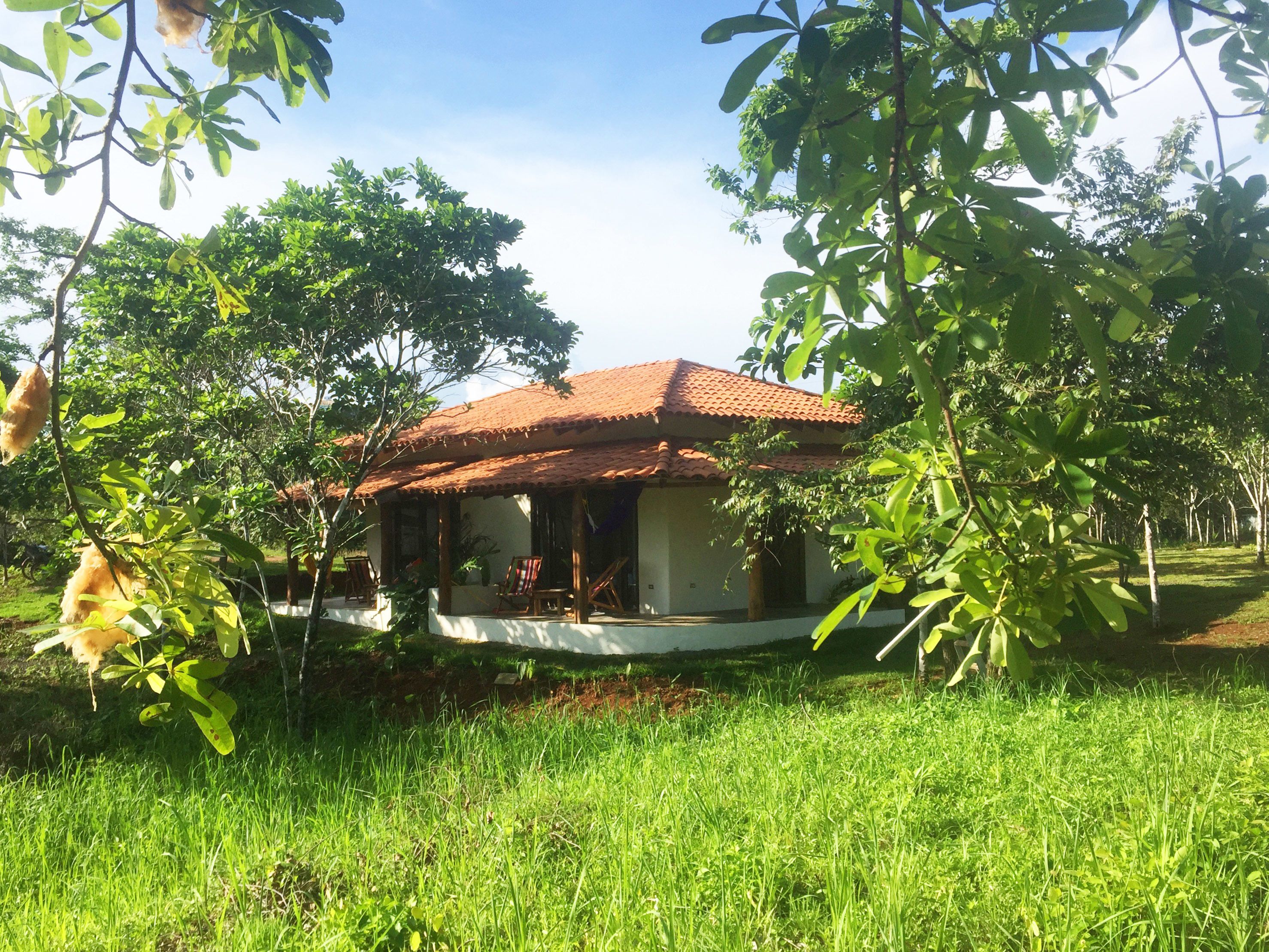 classic room, 1 king bed | property grounds