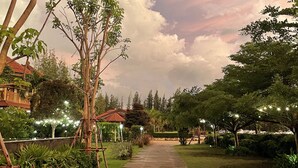 A pathway in a park with trees and a building in the background.