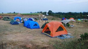 A campsite with multiple tents of various colors, a clear sky, and a flat terrain with sparse vegetation. - Ban Rai Pornsawan (Suan Phueng)