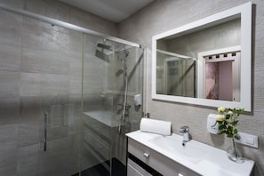 Superior Apartment, Private Bathroom, Park View (Superior) | Interior