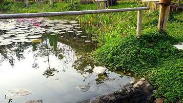 Standard Twin Room | Rollaway beds