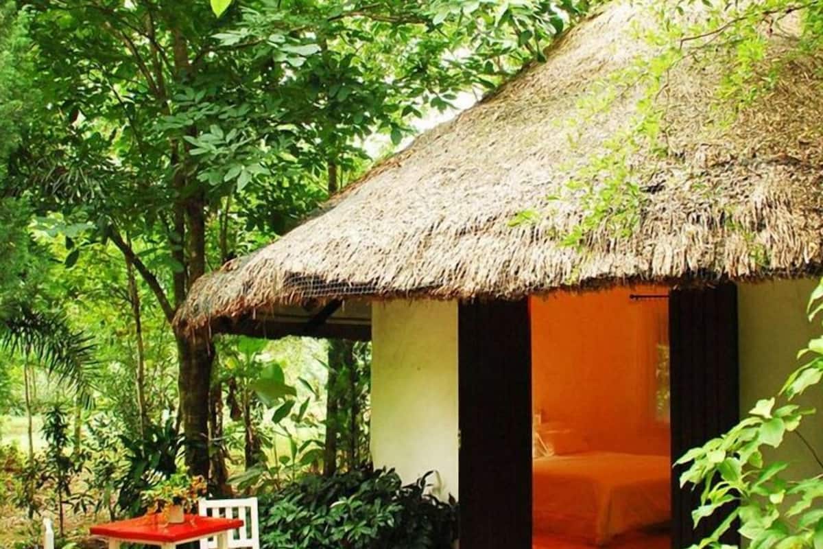 Deluxe Garden Room | Giường gấp/giường phụ (phụ phí) 