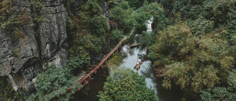 A river flowing through a canyon with rocky cliffs and dense greenery.
