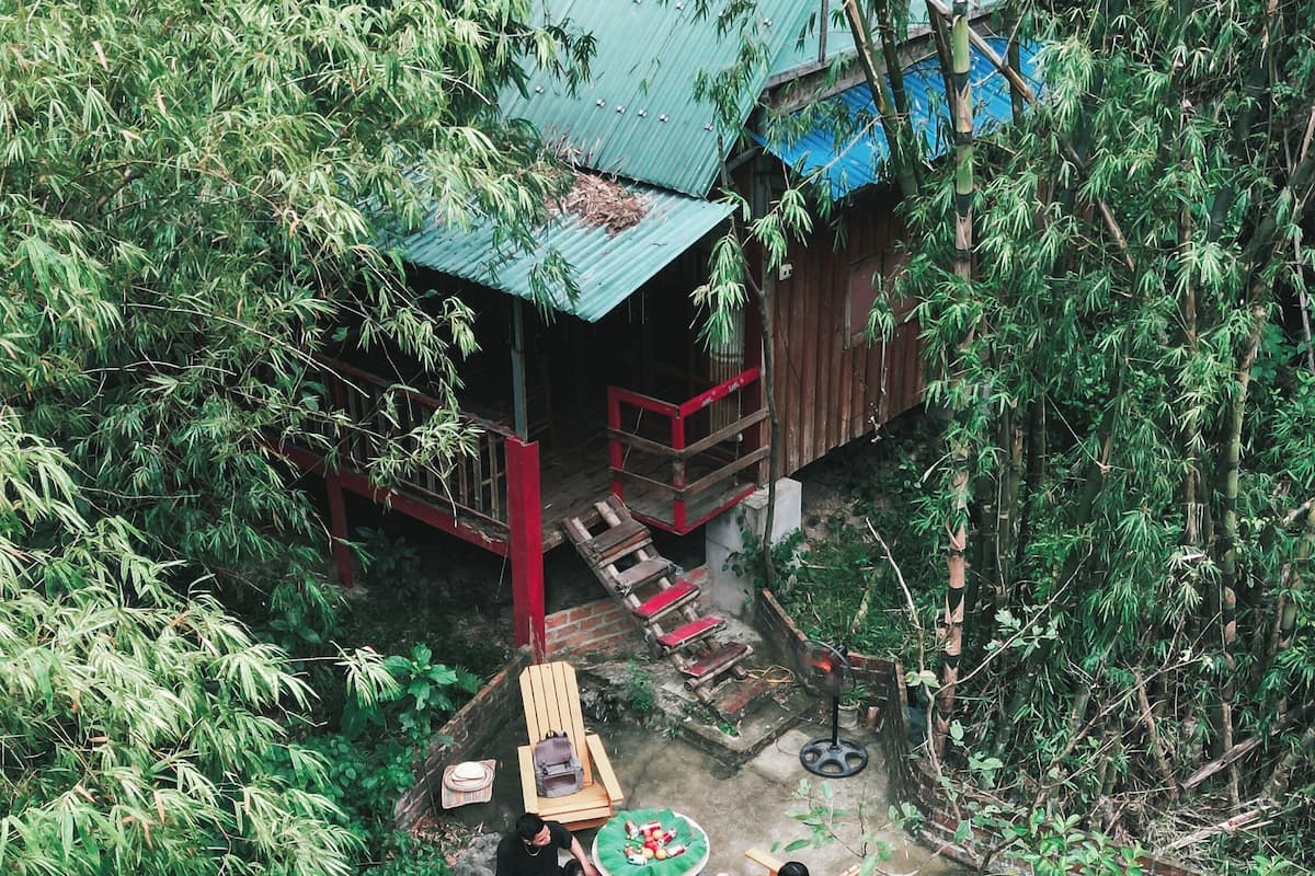 A rustic wooden house with a green roof, surrounded by lush greenery and a small pond with lily pads.
