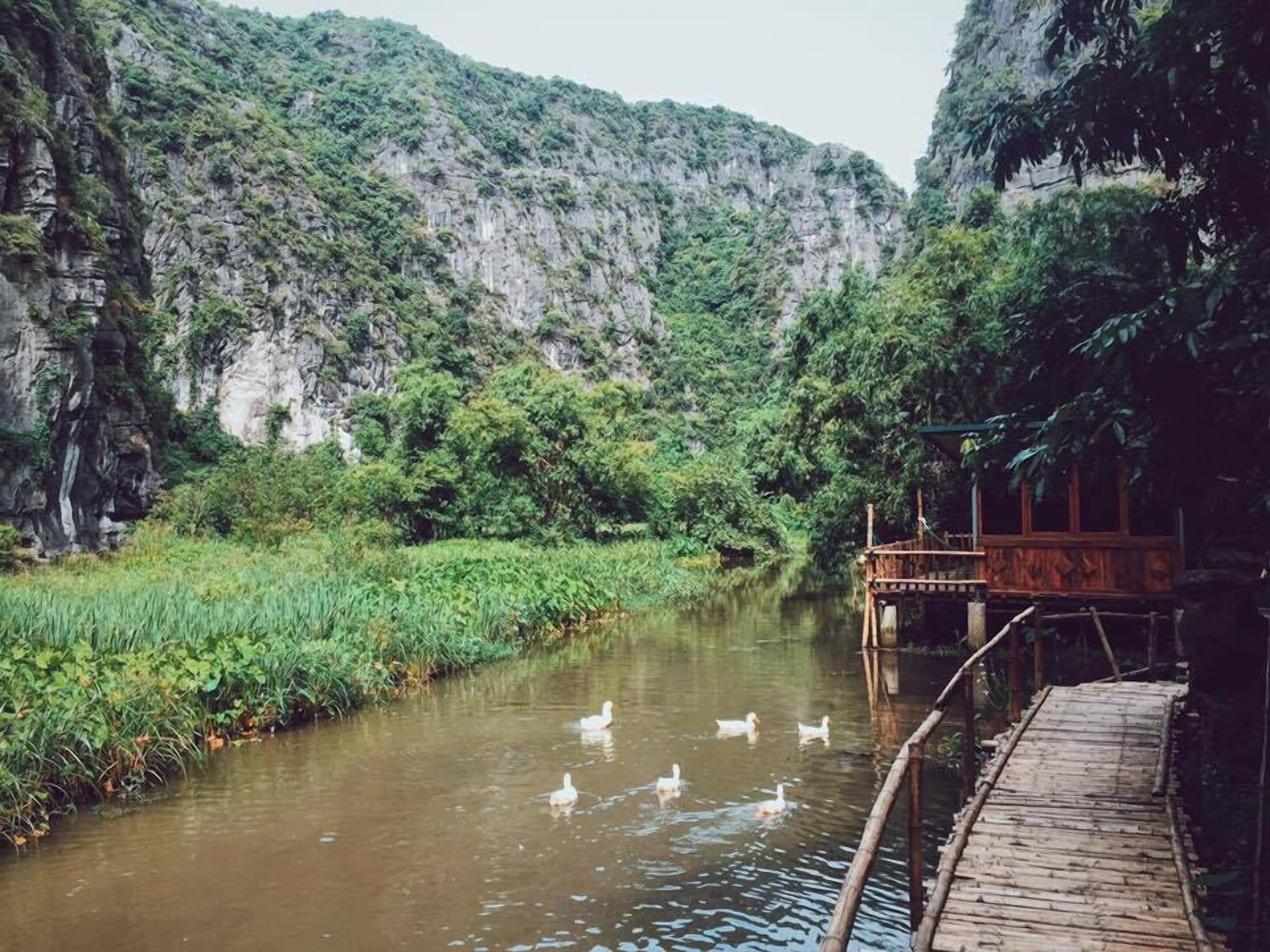 A wooden bridge over a river with ducks swimming, surrounded by lush greenery and a rocky cliff.