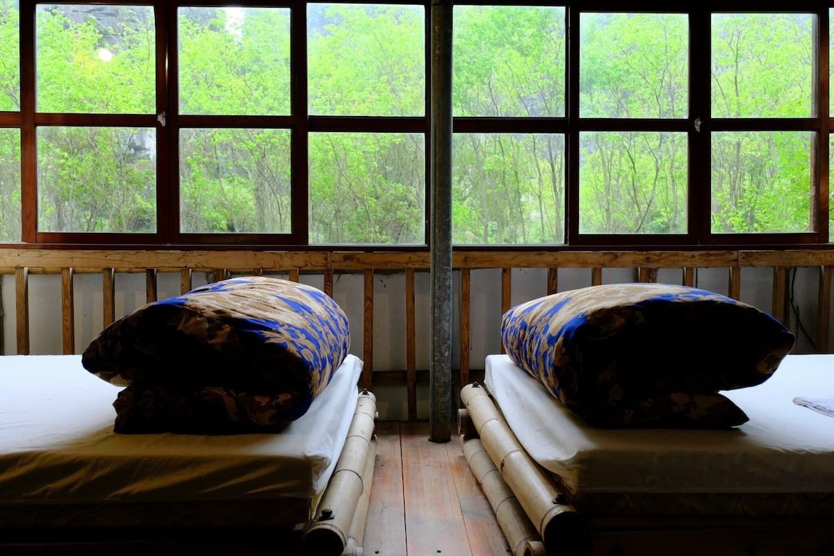 A room with two beds, each with a patterned pillow, wooden headboard, and a window with a view of green trees.