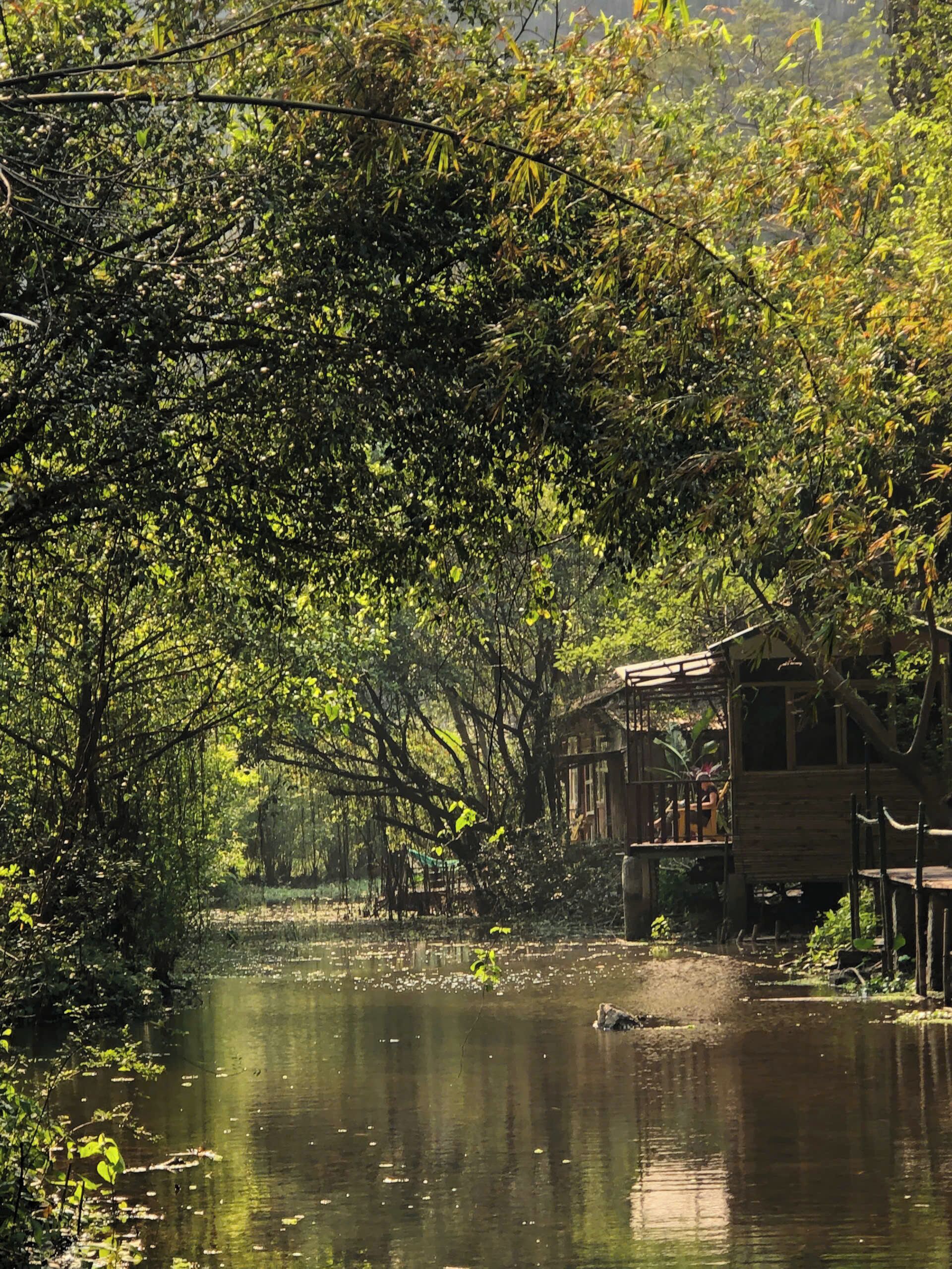A riverside wooden house with a dock, surrounded by dense foliage and a calm river.