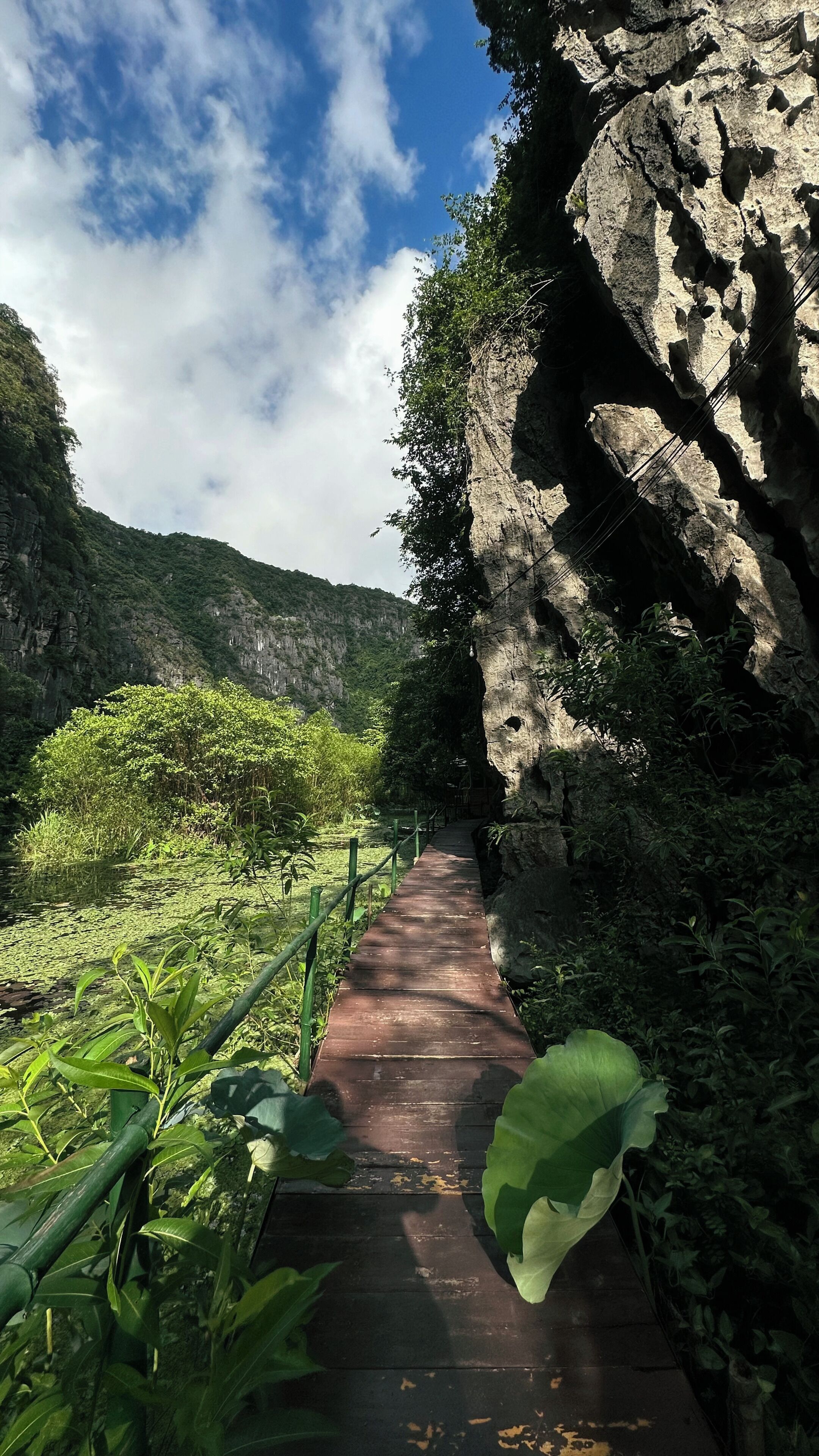 A wooden pathway leading through a natural landscape with rocky cliffs and lush greenery.