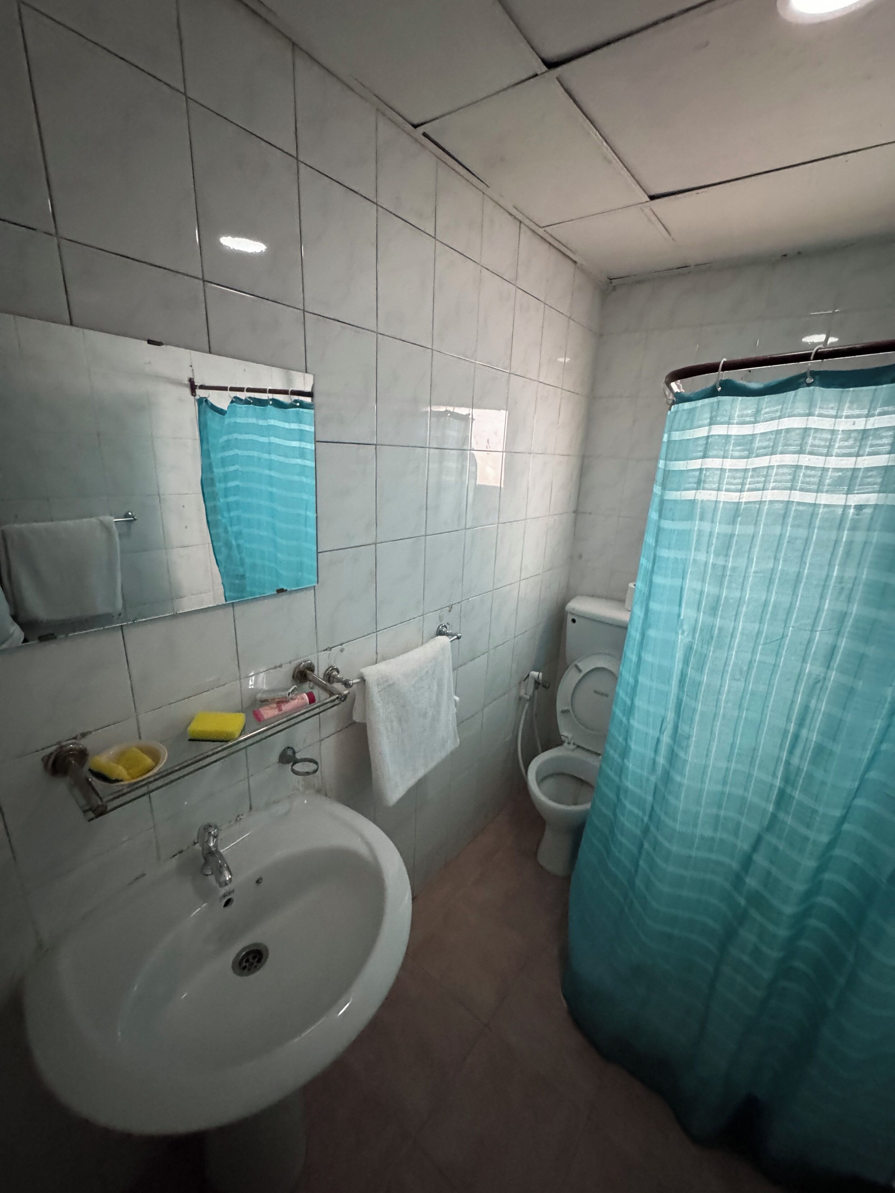 A bathroom with a sink, mirror, toilet, and a shower curtain.