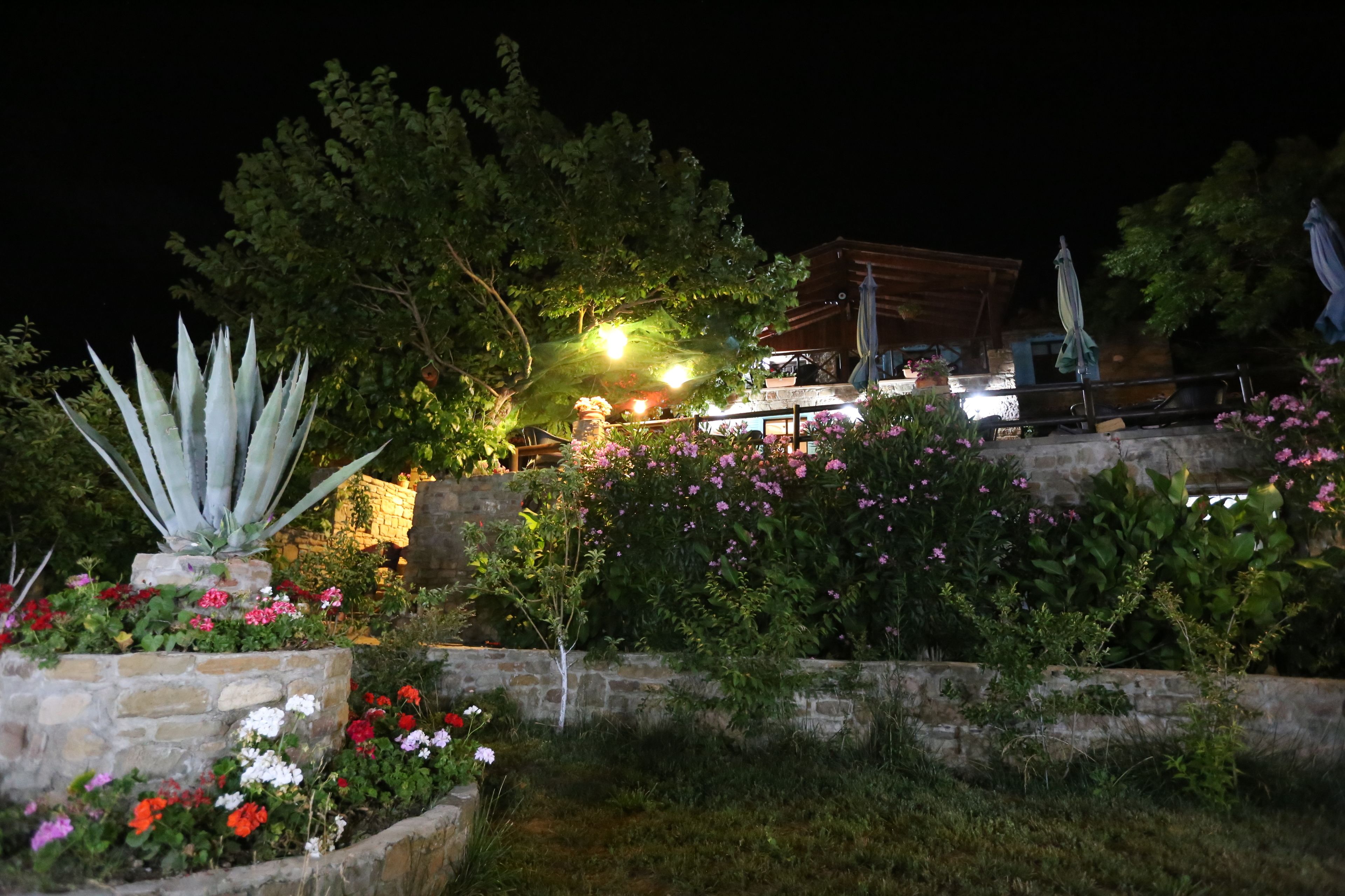 Fachada del alojamiento - Noche