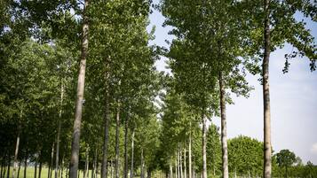 Chi tiết ngoại thất