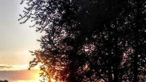 Zwembad met ligbedden en parasols, omgeven door bomen en een zonsondergang.