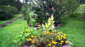 A garden with a variety of plants and flowers, a stone pathway, and a flag. - Residencial Recanto do Sossego Gramado (Gramado)