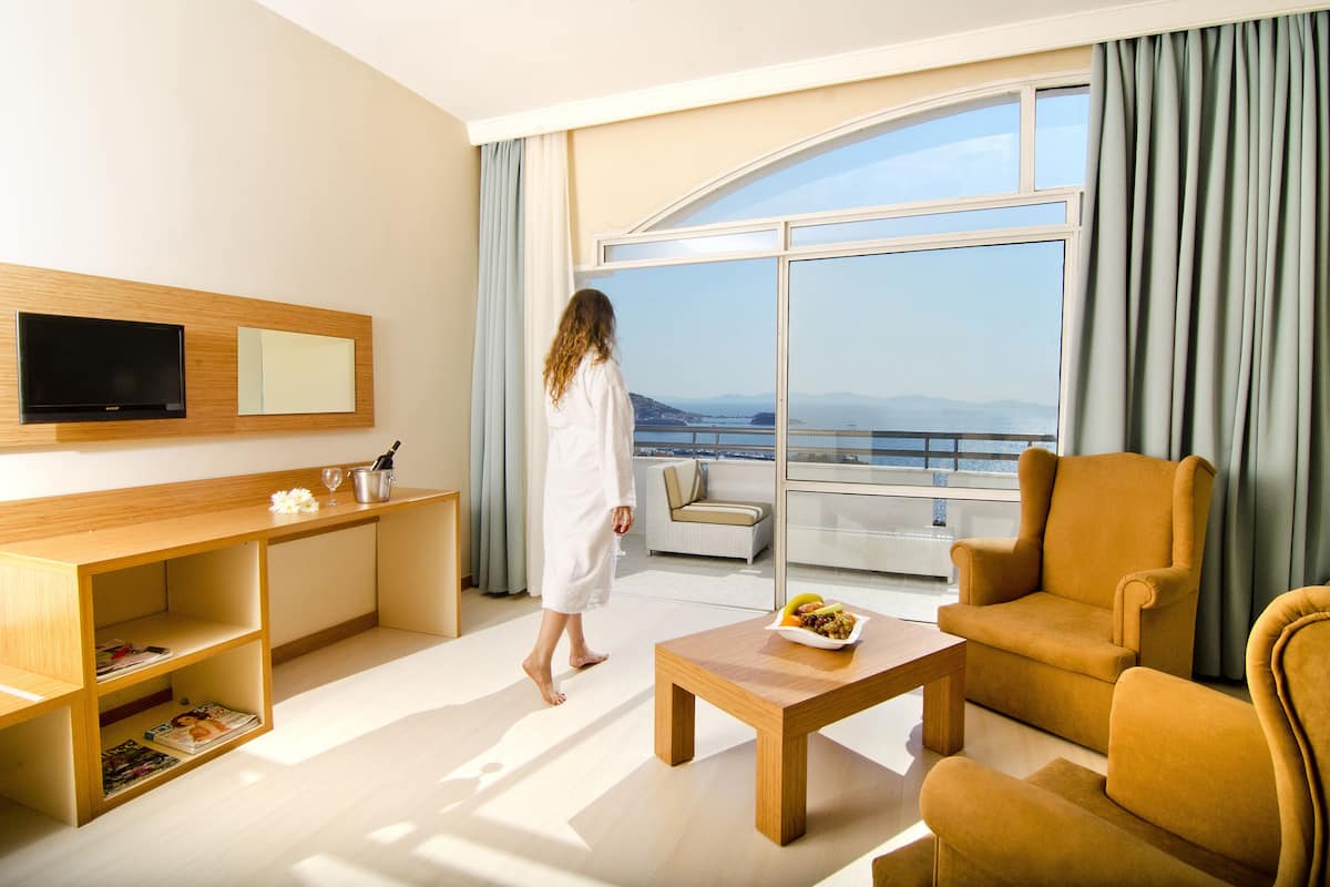 Una habitación de hotel moderna con un balcón grande, un televisor de pantalla plana, un escritorio de madera y un sofá cómodo.