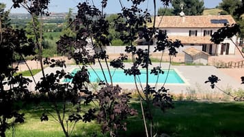 Outdoor pool, pool umbrellas, sun loungers