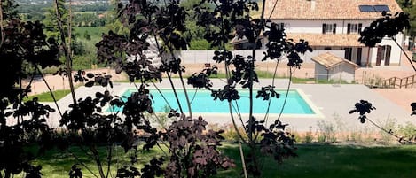 Outdoor pool, pool umbrellas, sun loungers