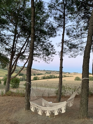 Una hamaca entre árboles en un entorno rural con colinas ondulantes al fondo.