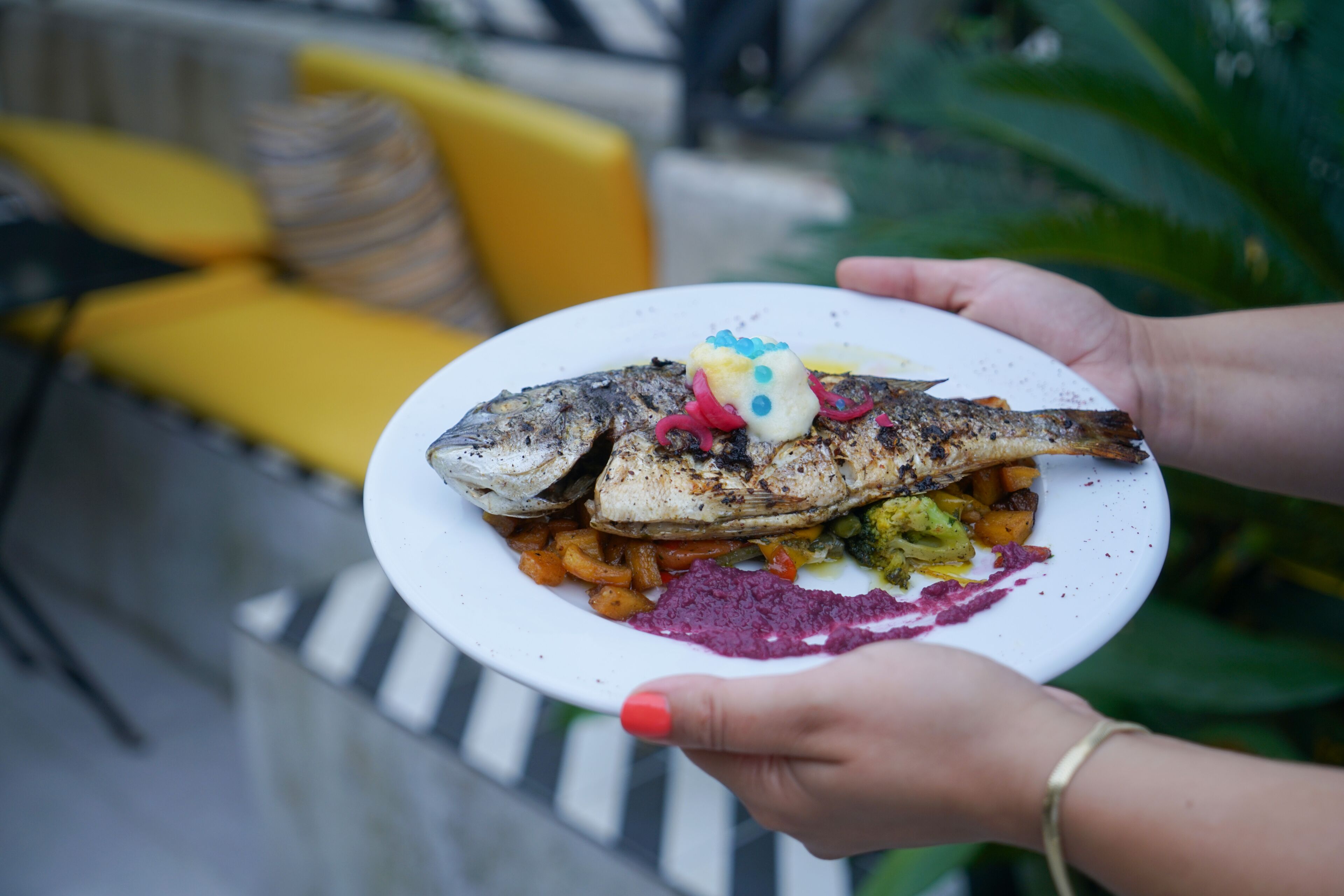 A plate of grilled fish with vegetables and a dollop of purple sauce.