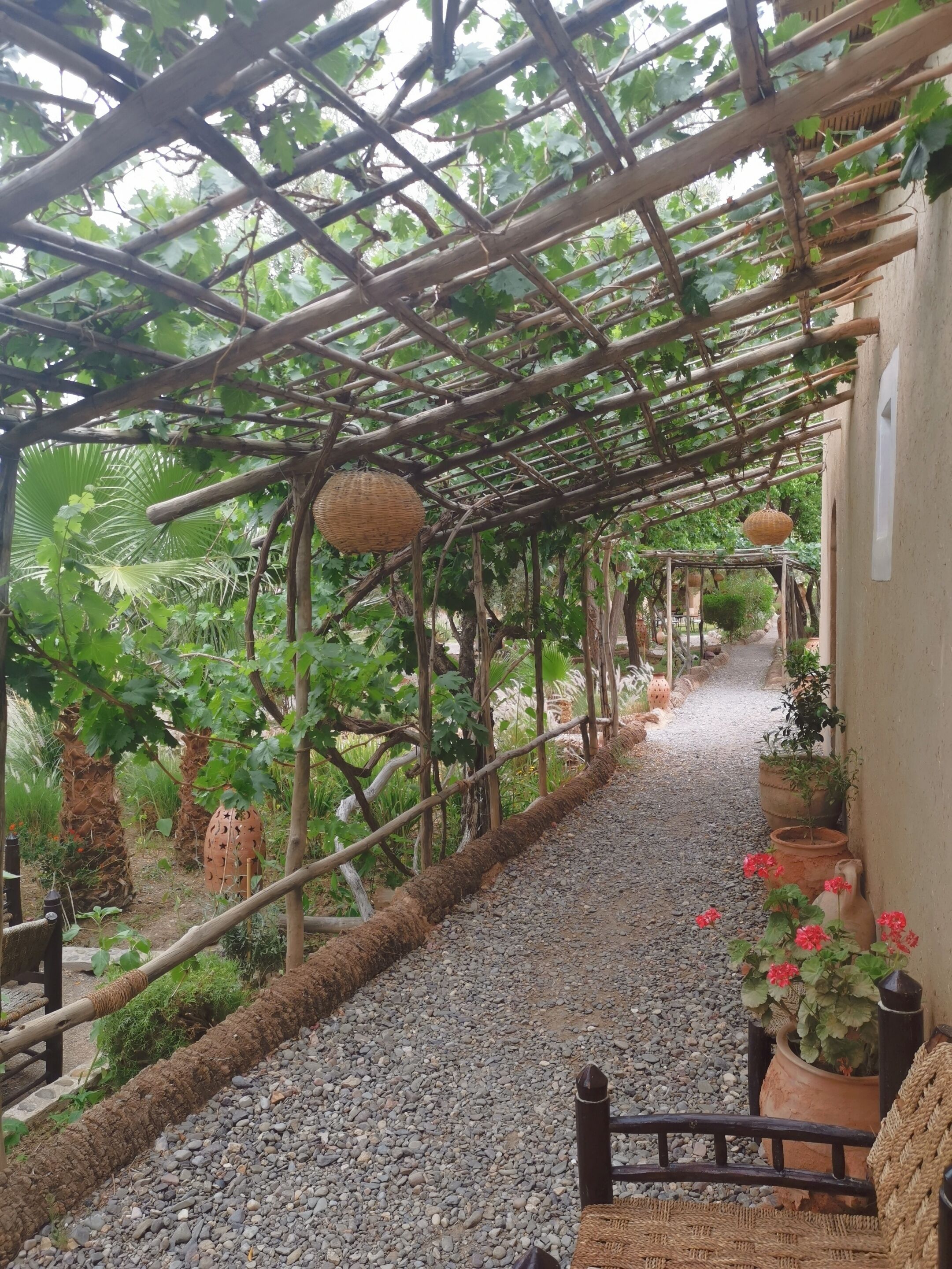Un sendero cubierto con superficie de grava, rodeado de follaje y plantas en macetas.
