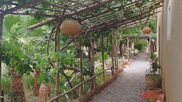 Un sendero cubierto con superficie de grava, rodeado de follaje y plantas en macetas.