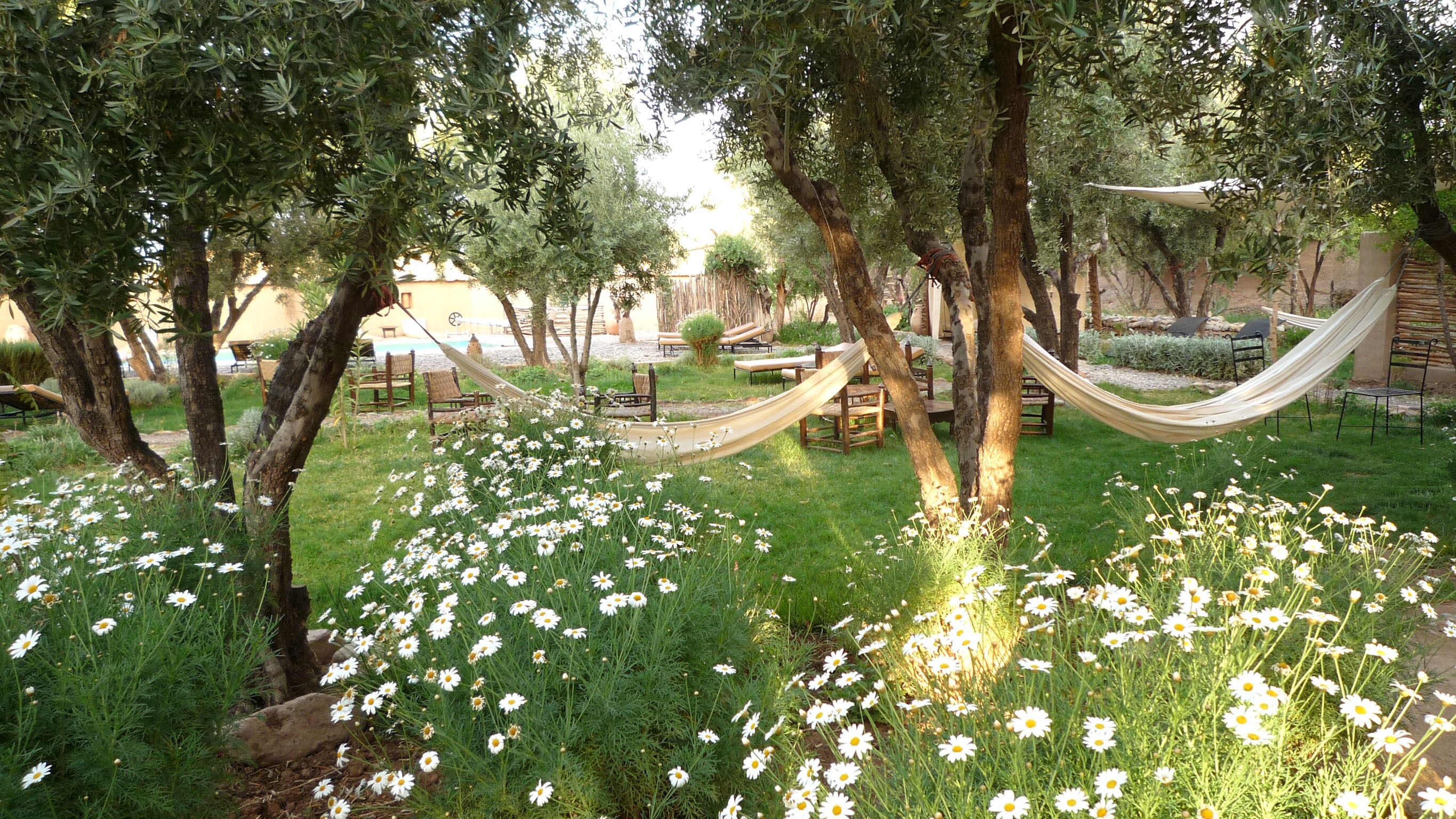 A garden with a hammock, picnic tables, and a pool in the background.