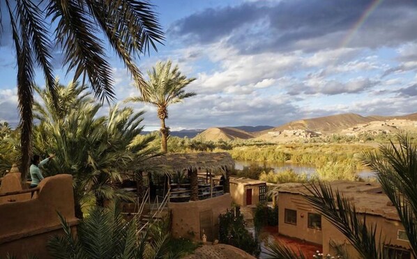 Exterior - Lodge Hara Oasis (Mezguita)