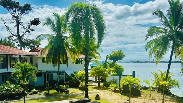 A pool with lounge chairs, palm trees, and a view of the ocean. - Playa Mango (Bocas del Toro)