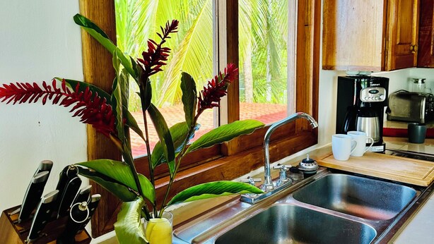 A kitchen with a sink, a coffee maker, and a window with a view of greenery. - Playa Mango (Bocas del Toro)