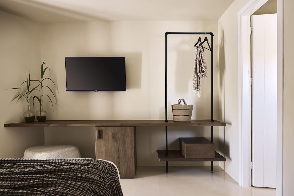 A bedroom with a bed, a TV, a plant, a hanging rack, and a wooden desk.