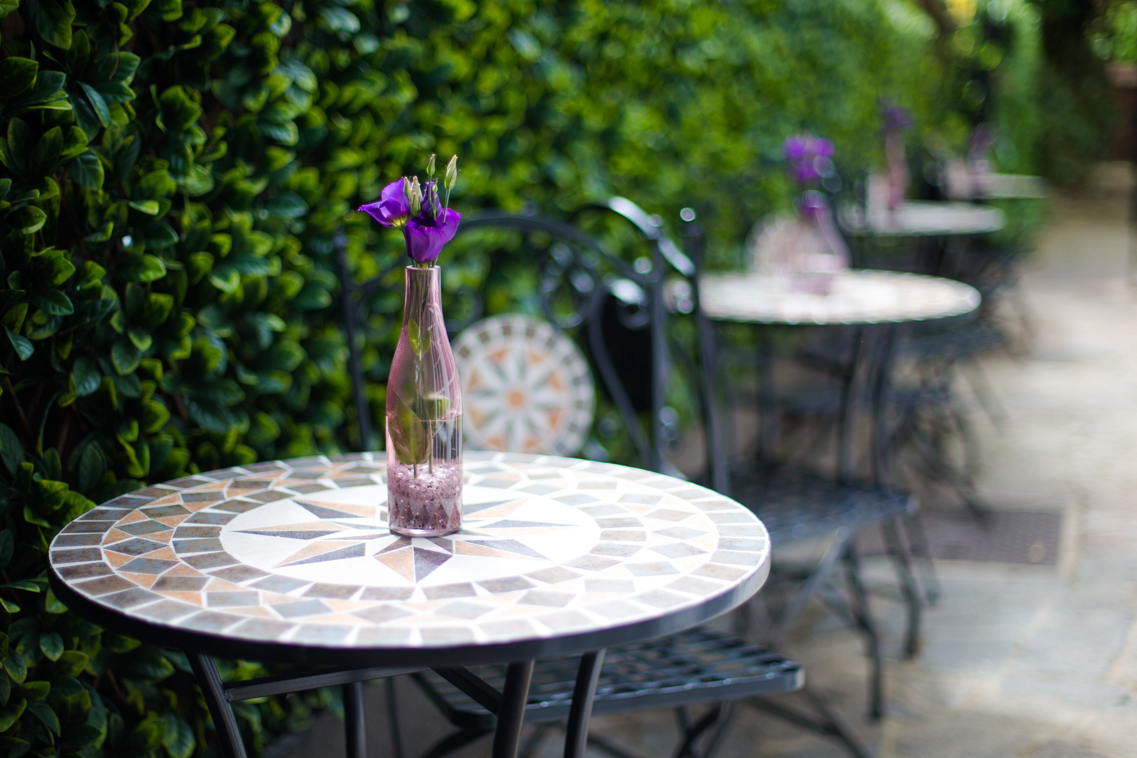 A patio area with round tables and chairs, surrounded by lush green foliage.
