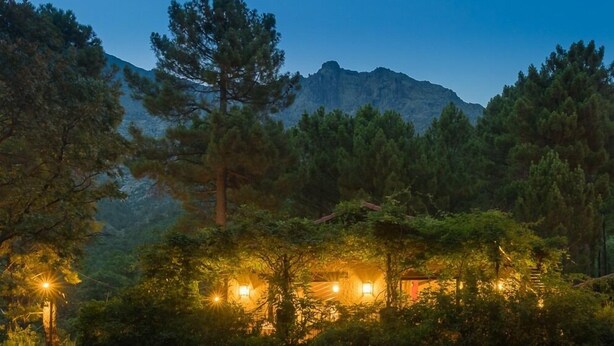 A cabin surrounded by dense forest with a mountain in the background.