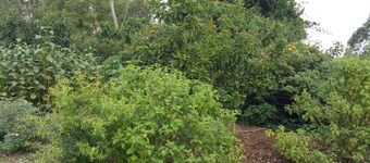 Nakoosi Eco Lodge & Backpackers