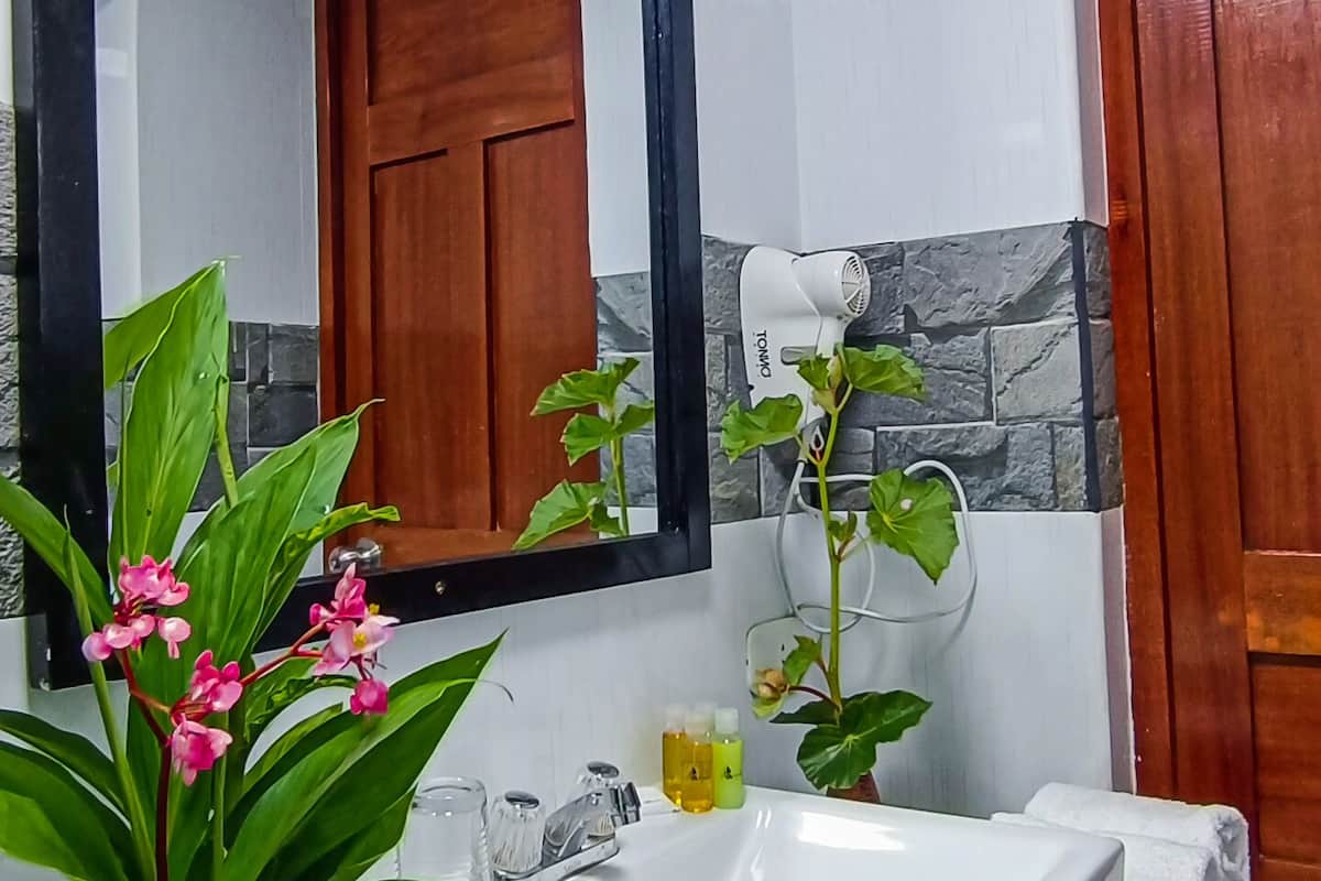 Amenidades de baño gratuitas, secadora de cabello, toallas, shampoo