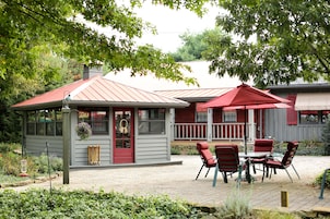 Americana Queen Room | Terrace/patio