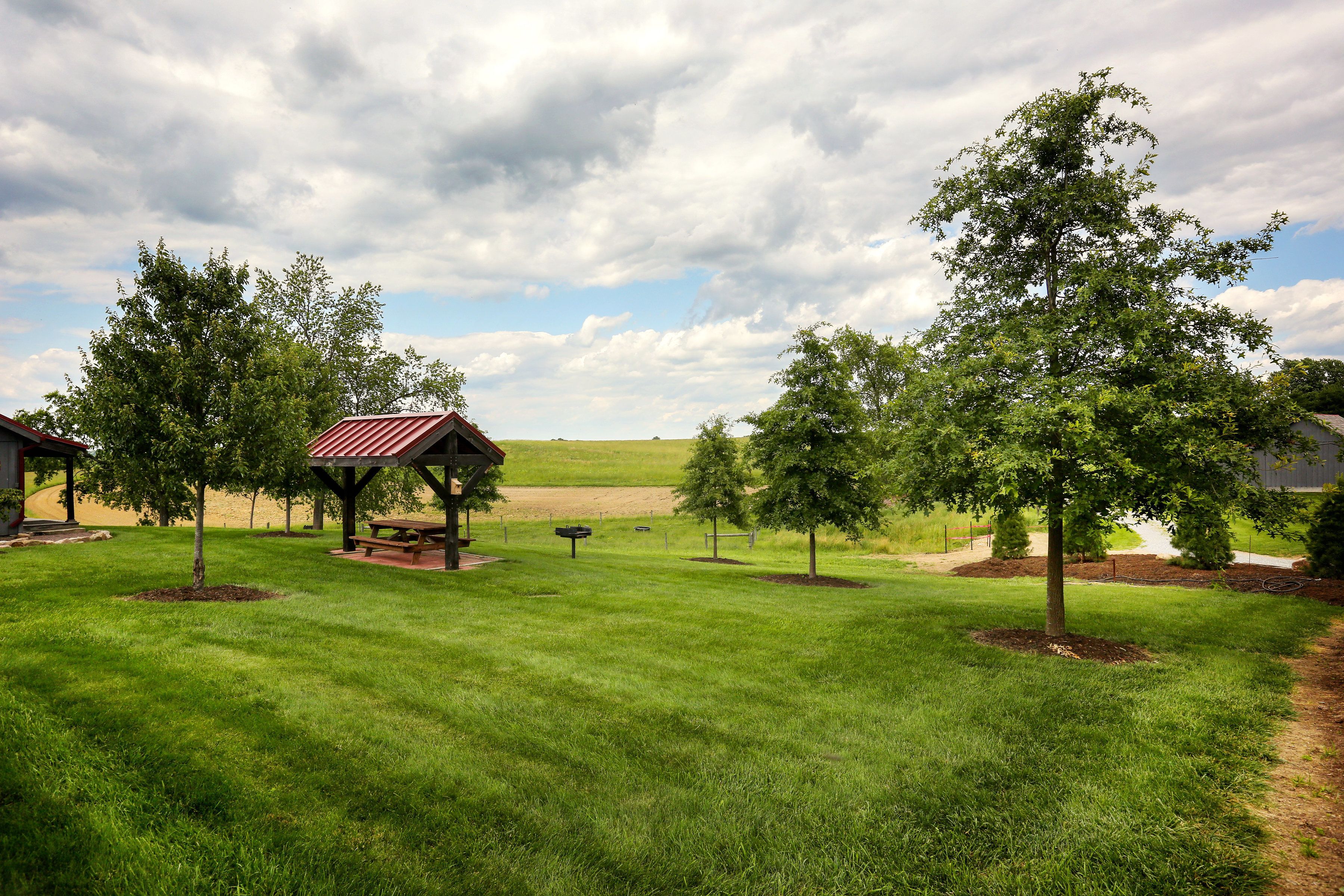 A grassy area with a gazebo and trees.