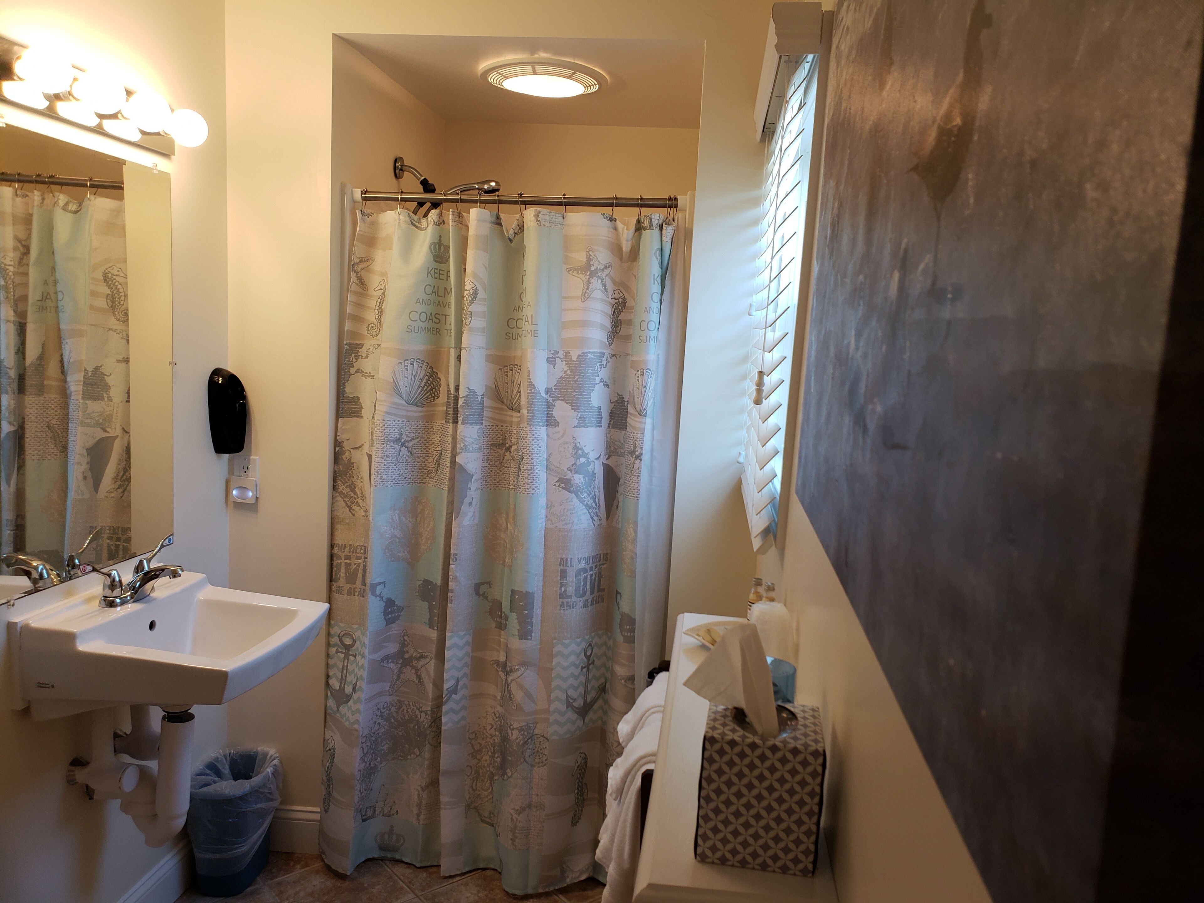 Un baño con dos lavamanos, una cortina de ducha con motivos náuticos, un perchero y un secador de manos.