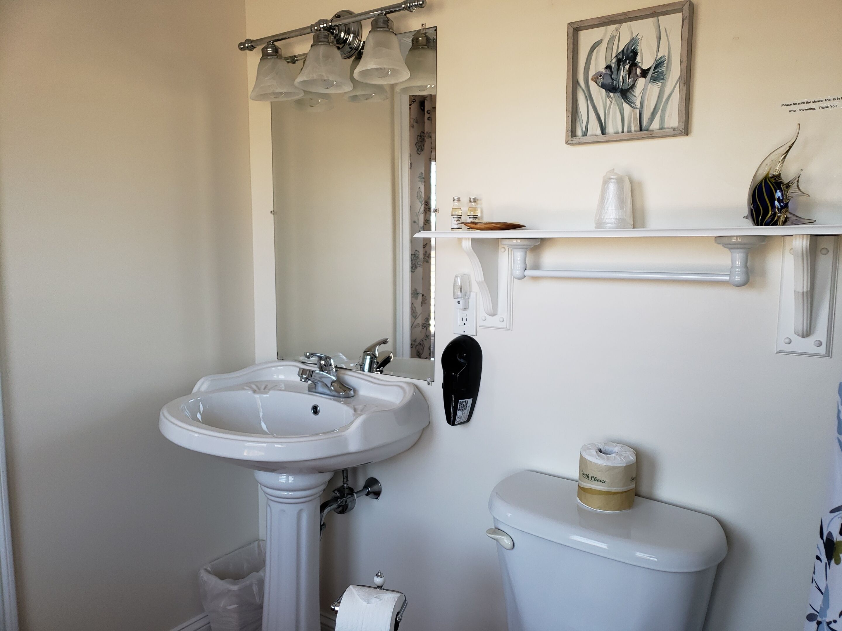 A bathroom with a pedestal sink, a toilet, a mirror, and a shelf with toiletries.