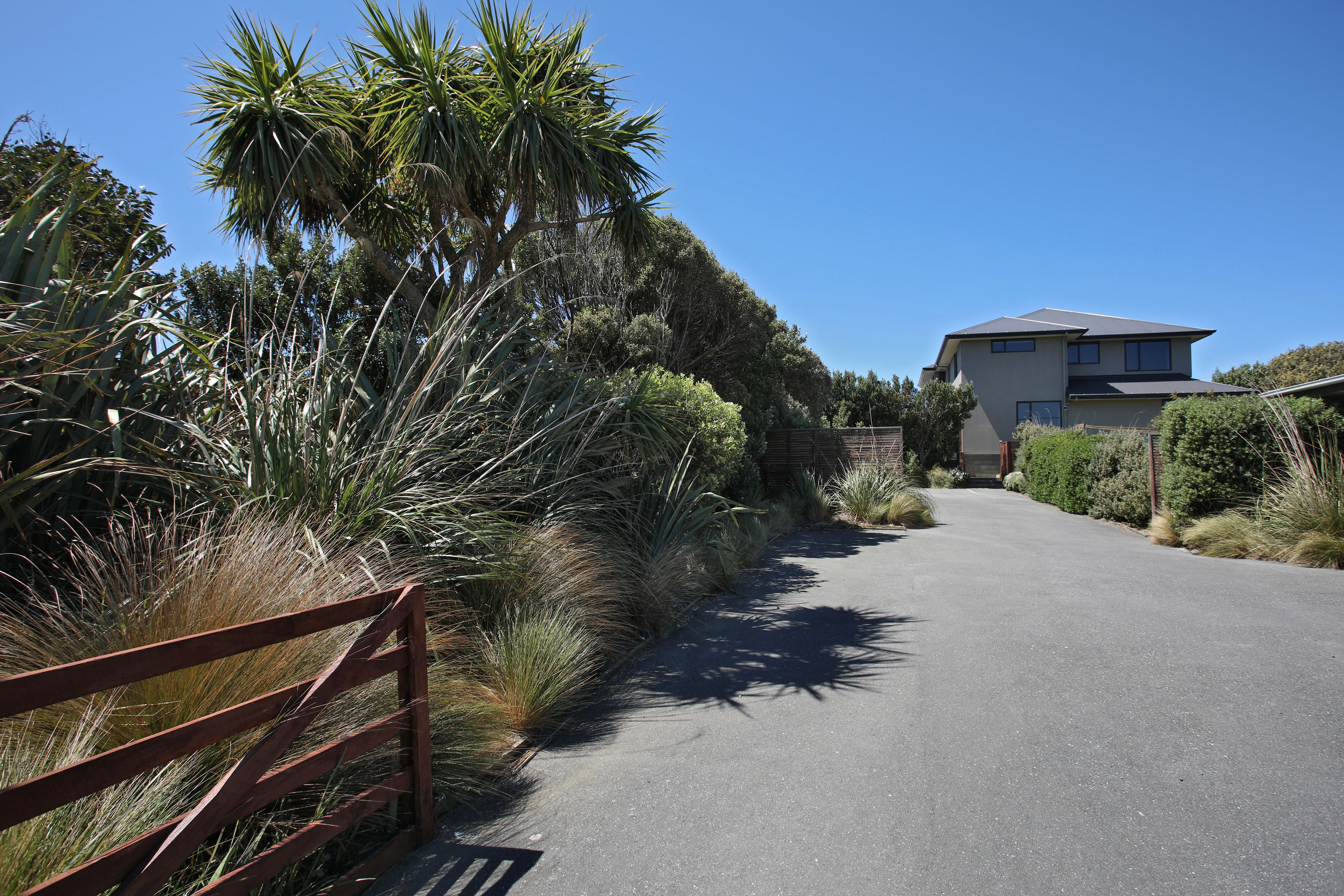 A paved pathway flanked by tall grasses and a palm tree, leading to a modern two-story building with a flat roof.